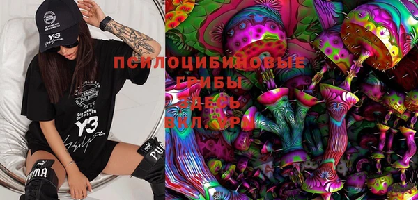синтетический гашиш Алексеевка