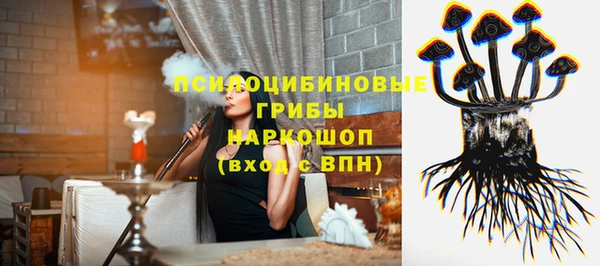 эйфоретик Алзамай