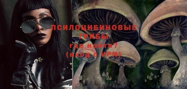 герыч Алексин